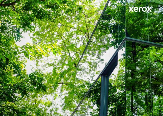Riflesso di alberi visibili nella facciata in vetro di un edificio moderno, che crea un'armoniosa miscela di natura e architettura. Riflesso di alberi visibili nella facciata in vetro di un edificio moderno, che crea un'armoniosa miscela di natura e architettura.